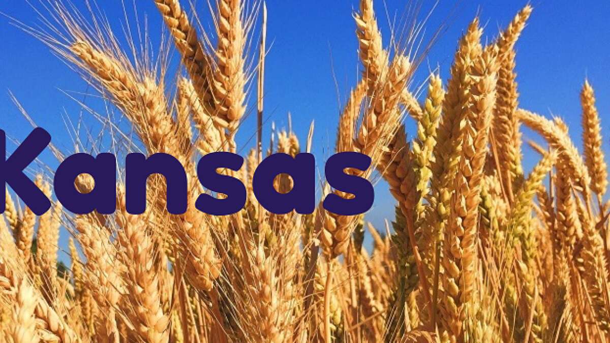 Best Landline Home Phone Service in Wichita, KS MoneySavingPro