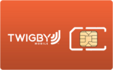 Twigby logo