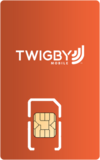 Twigby logo Twigby logo