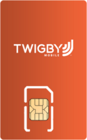 Twigby SIM card vertical