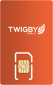 Twigby SIM Card - Best iPhone XR SIM card for seniors - Twigby